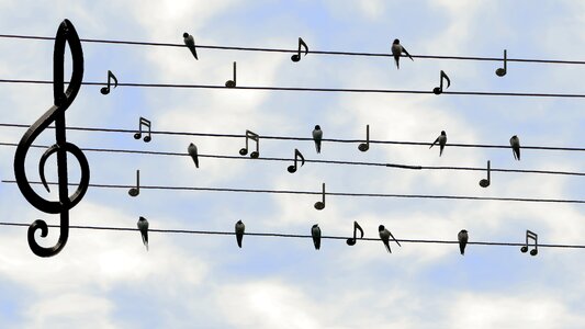 Twitter music sound