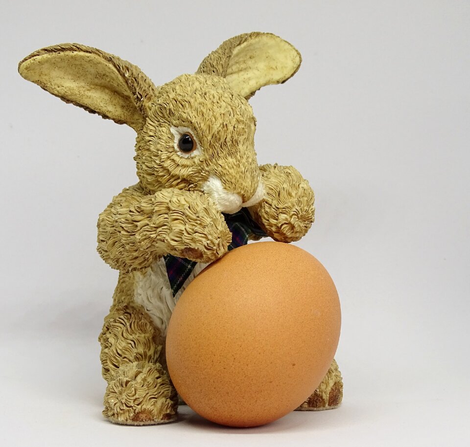 Easter bunny easter egg easter