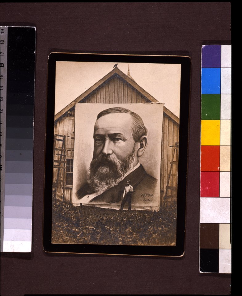 Benjamin Harrison LCCN2009632236