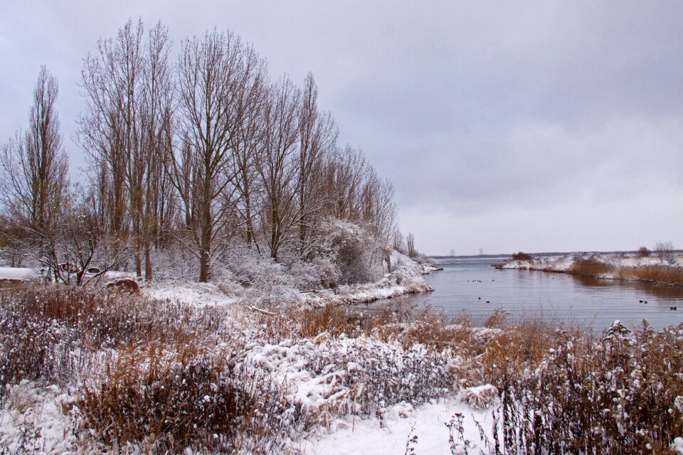 Denmark white frost
