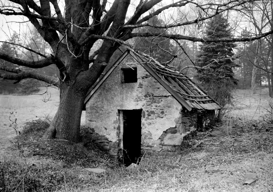 Benjamin Rush birthplace