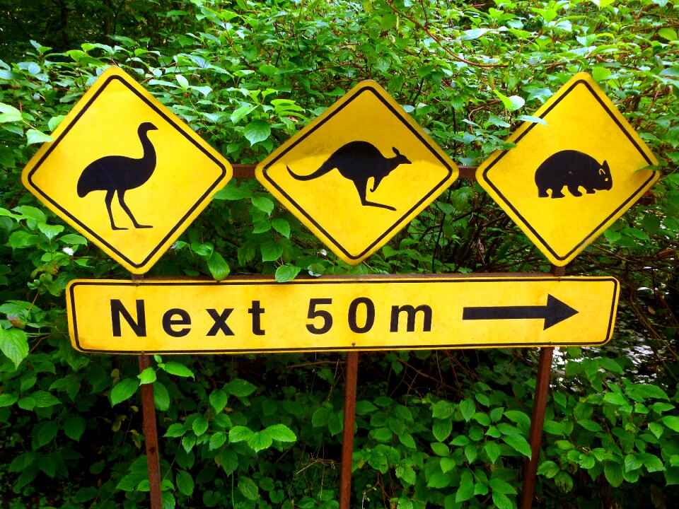 Signs animal species yellow
