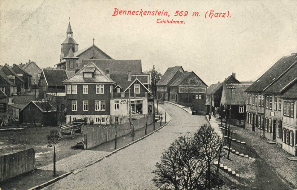 Benneckenstein (Harz), Sachsen-Anhalt - Teichdamm (Zeno Ansichtskarten)