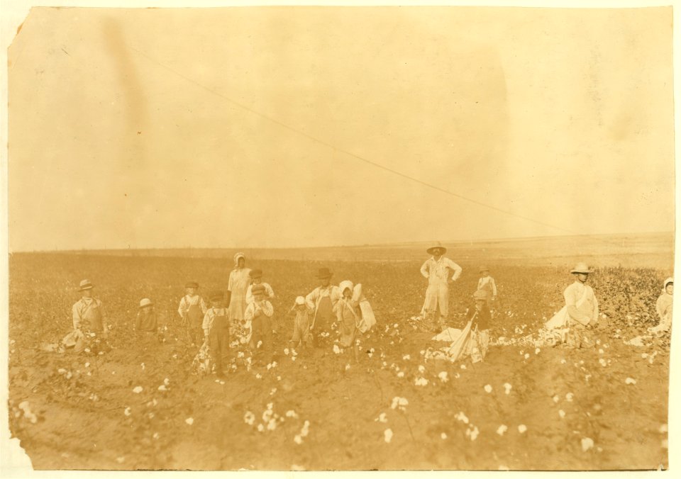Benton Hill, a renter, Tinney, Okla. Two other families were helping Mr. Hill and his children pick his cotton. Four adults and 10 children of following ages- 1 boy of 3 years, 2 boys and 1 LOC nclc.00615