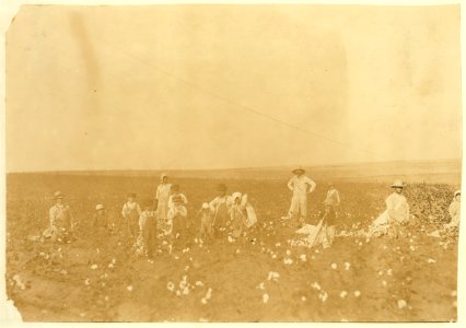 Benton Hill, a renter, Tinney, Okla. Two other families were helping Mr. Hill and his children pick his cotton. Four adults and 10 children of following ages- 1 boy of 3 years, 2 boys and 1 LOC nclc.00615