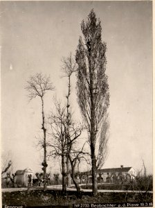 Beobachter a.d. Piave 19.3.18. (BildID 15616764)