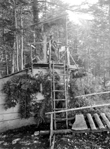 Beobachtungsposten im Wald - CH-BAR - 3236597