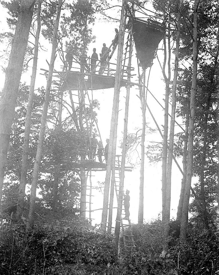 Beobachtungsposten im Wald - CH-BAR - 3236584