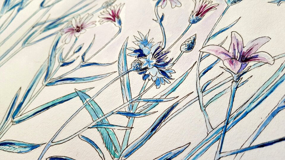 Watercolor flowers vintage
