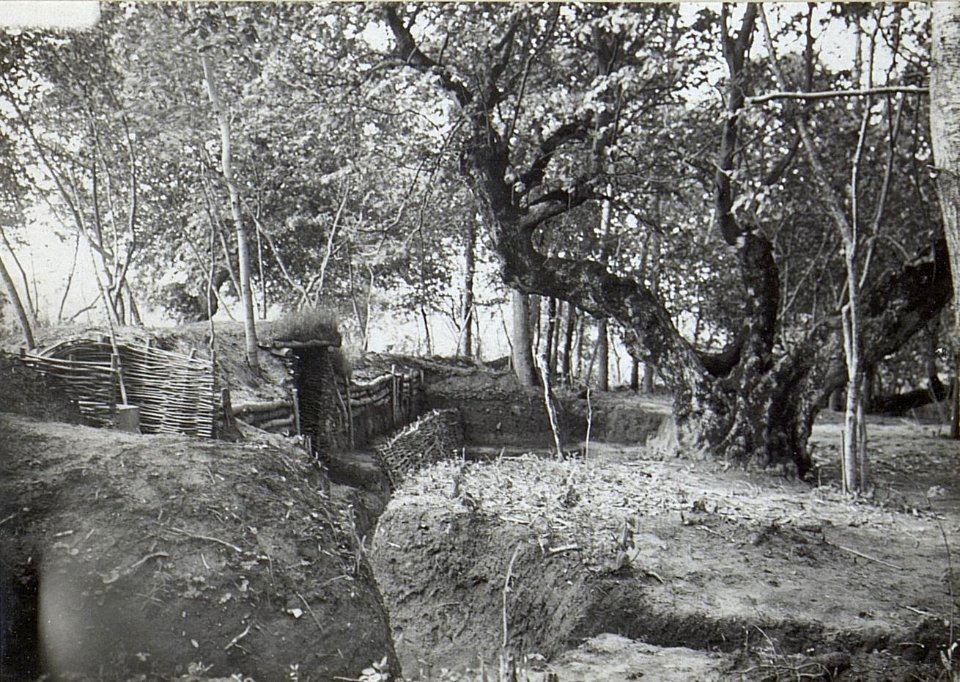 Beobachtungsstand, Maschinengewehrstand im Walde. Beim grossen Baum ein Fuchsloch. (BildID 15691692)