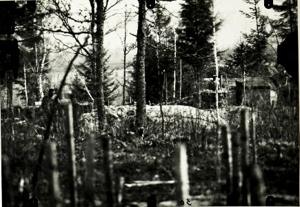 Beobachtungstand und eigene Hauptstellung westlich Dzwiniacz, 30.April 1917. (BildID 15590485)