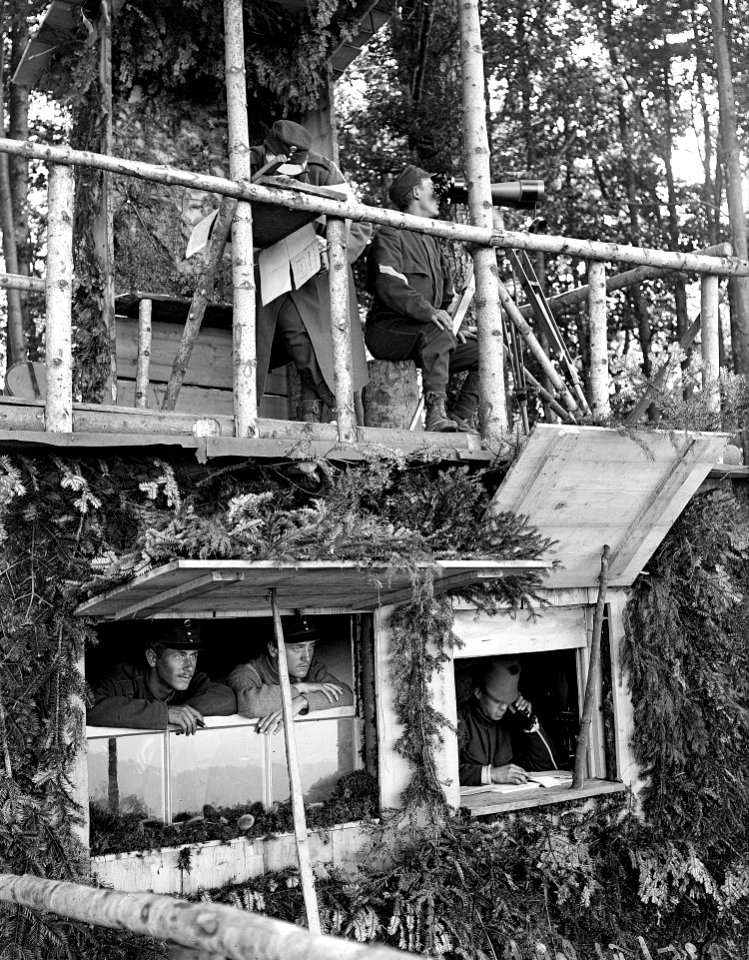 Beobachtungsposten im Wald mit Feldtelefon - CH-BAR - 3236602