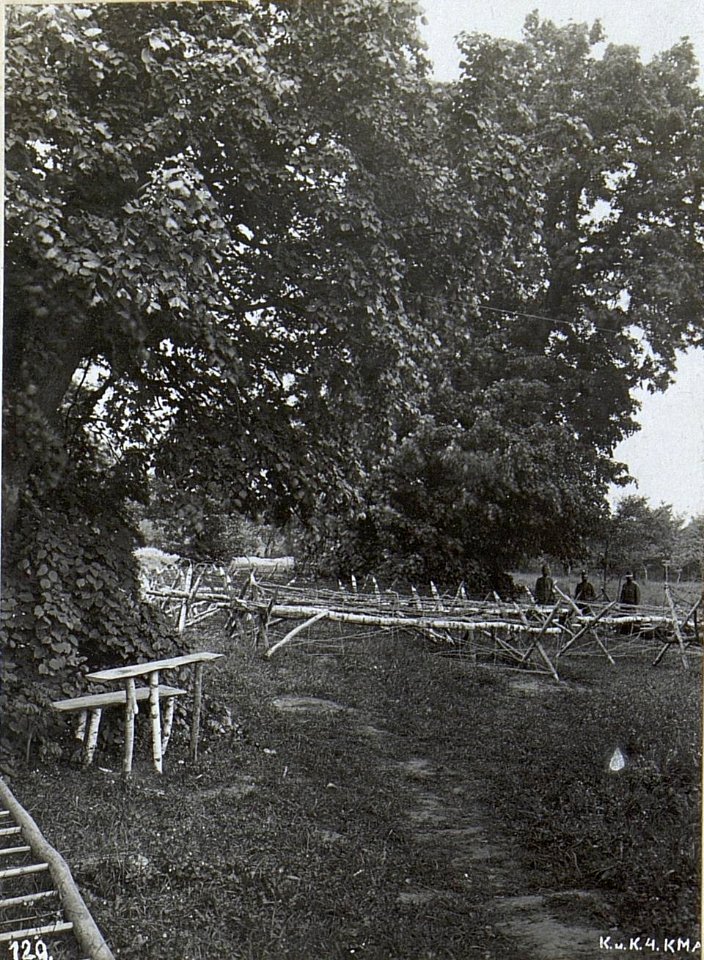 Beobachtungsstand am Baum bei Teremwo. (BildID 15691454)