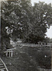 Beobachtungsstand am Baum bei Teremwo. (BildID 15691454)