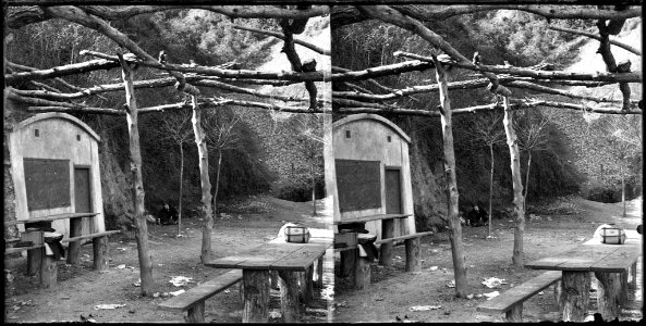 Berenador amb taules i bancs a la font del Món
