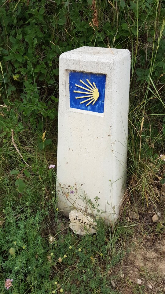 Scallop pilgrimage blue