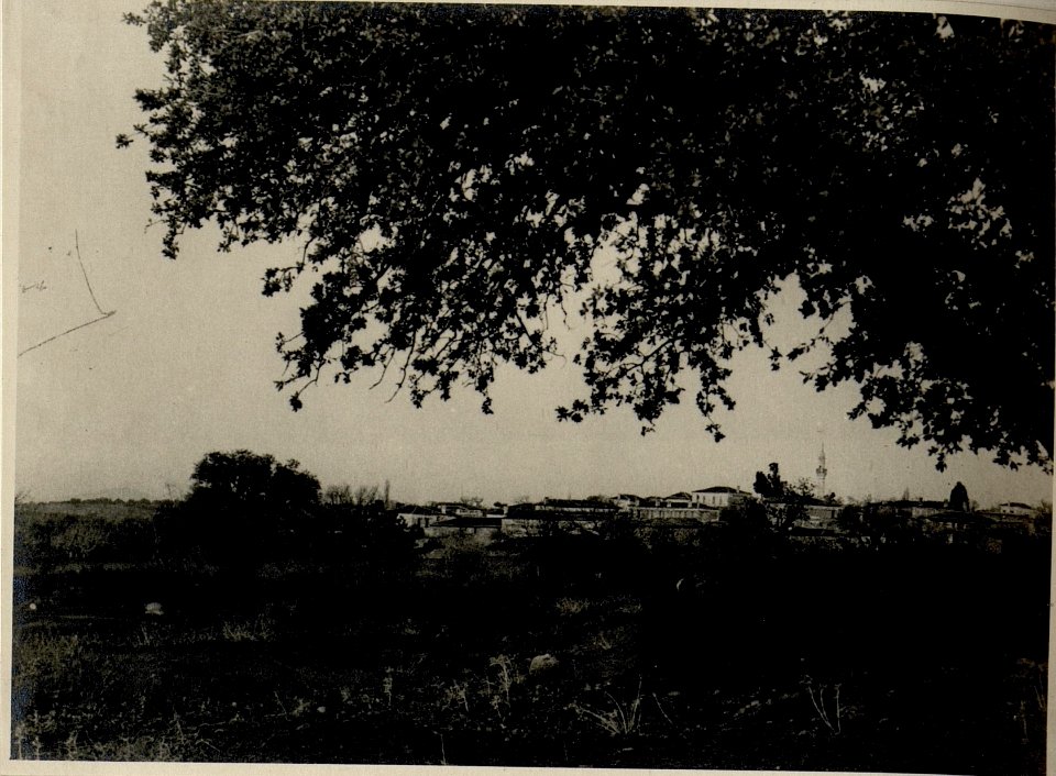 Bergas.16.1.1918. (BildID 15546759)