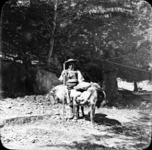 Berger avanais, vallée du Lys, 18 août 1892