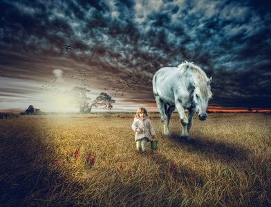 Hay field nature outdoors photo