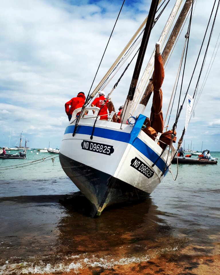 Sailing sailboat ocean