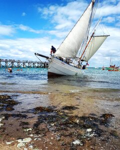 Pontoon regatta noirmoutier
