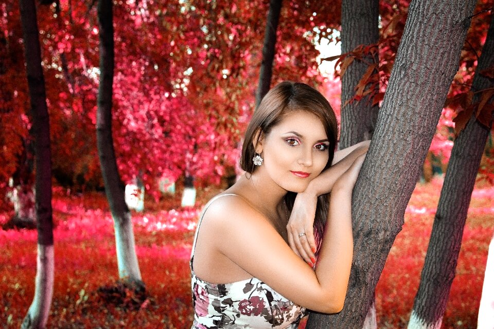 Lovely tree outdoors