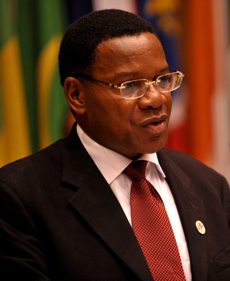 Bernard Membe 2009 (cropped)