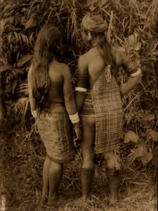 Bernisches Historisches Museum, Hantoek-Dayak Ehepaar. Borneo, 1893-94 von hinten