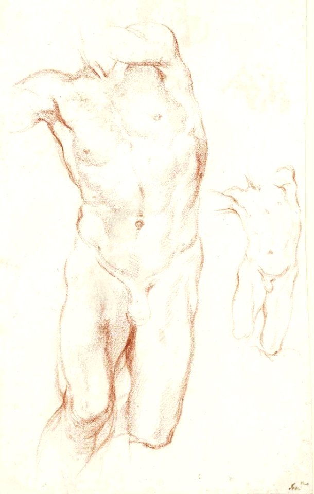 Bernini Daniel studies