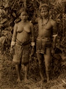 Bernisches Historisches Museum, Hantoek-Dayak Ehepaar. Borneo, 1893-94 von vorne