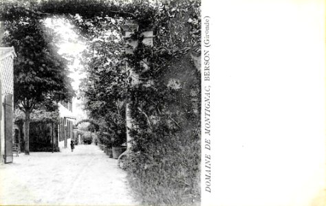 Berson - Domaine de Montignac
