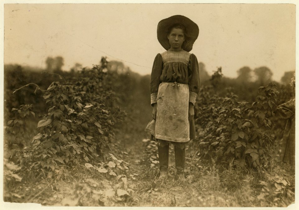 Bertha Marshall a berry picker on Jenkins Farm, Rock Creek, near Baltimore, Md. Been at it 2 summers. Picks about 10 boxes a day. (2 cents a box). Photo July 7, 1909. LOC nclc.00004