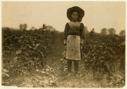 Bertha Marshall a berry picker on Jenkins Farm, Rock Creek, near Baltimore, Md. Been at it 2 summers. Picks about 10 boxes a day. (2 cents a box). Photo July 7, 1909. LOC nclc.00004
