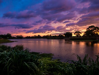 Lake sunset purple