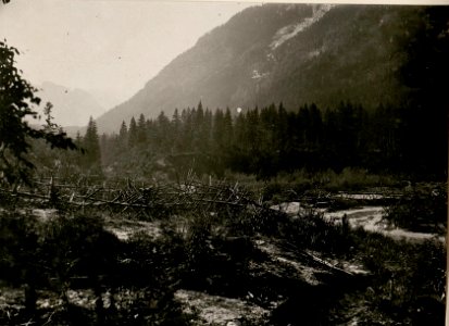 Beschiessung der itl.Seebachstellung (Neveasattel) (BildID 15506660)