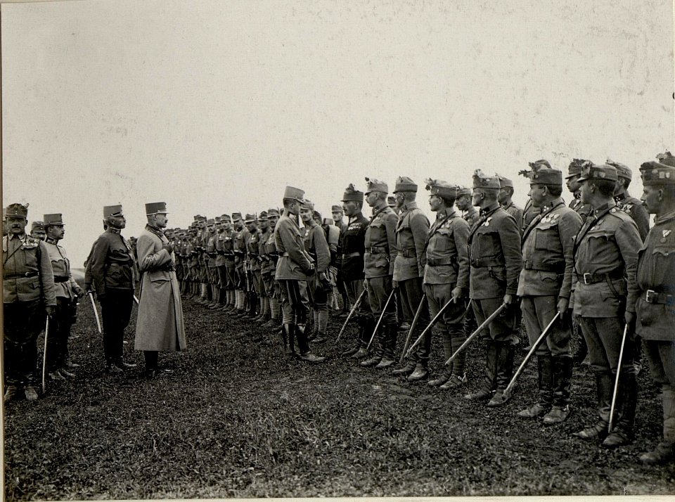 Besichtigung bei der 19. Feldartillerie Brigade durch Erzherzog Karl im Juli 1916 (BildID 15542471)