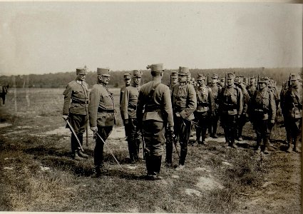 Besichtigung des Feldjäger Bataillons 13 am 4.9.1916 (BildID 15550125)