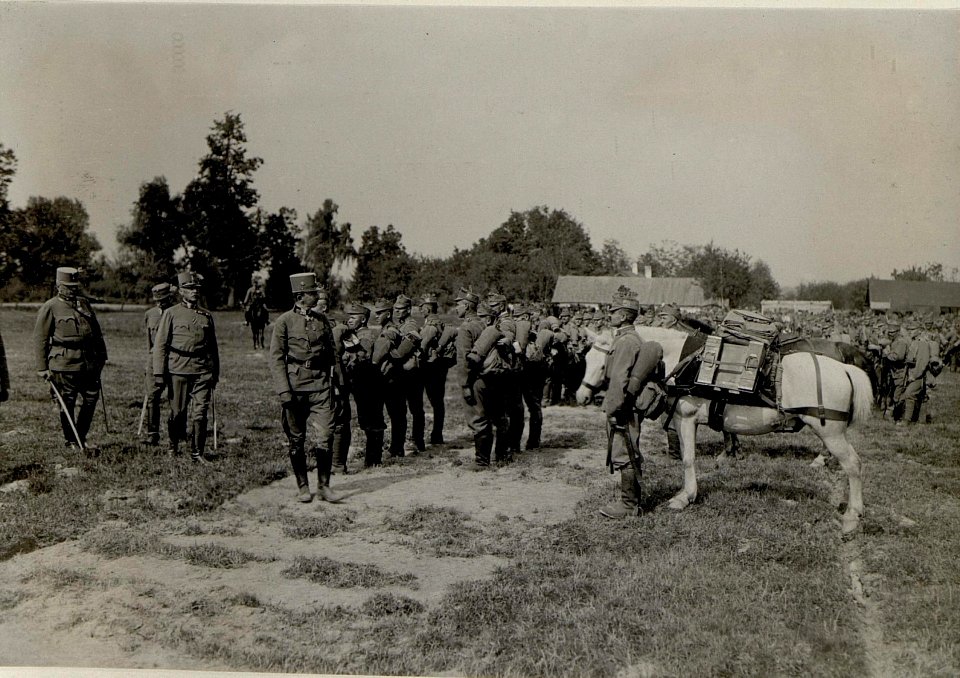 Besichtigung des Feldjäger Bataillons 1 am 4.9.1916 (BildID 15550111)