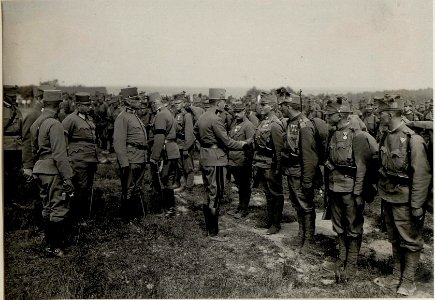 Besichtigung des Feldjäger Bataillons 13 am 4.9.1916 (BildID 15550139)