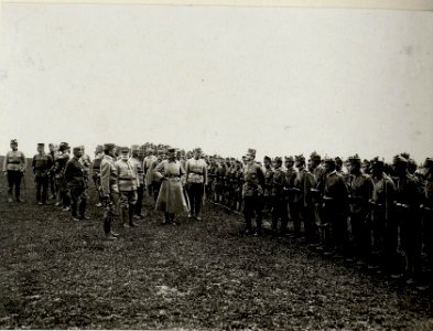 Besichtigung des Infanterieregimentes 75 durch Erzherzog Karl im Juli 1916 (BildID 15542450)