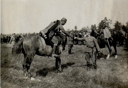 Besichtigung des Landwehrulanen Regimentes 4 am 4.9.1916 (BildID 15550160)