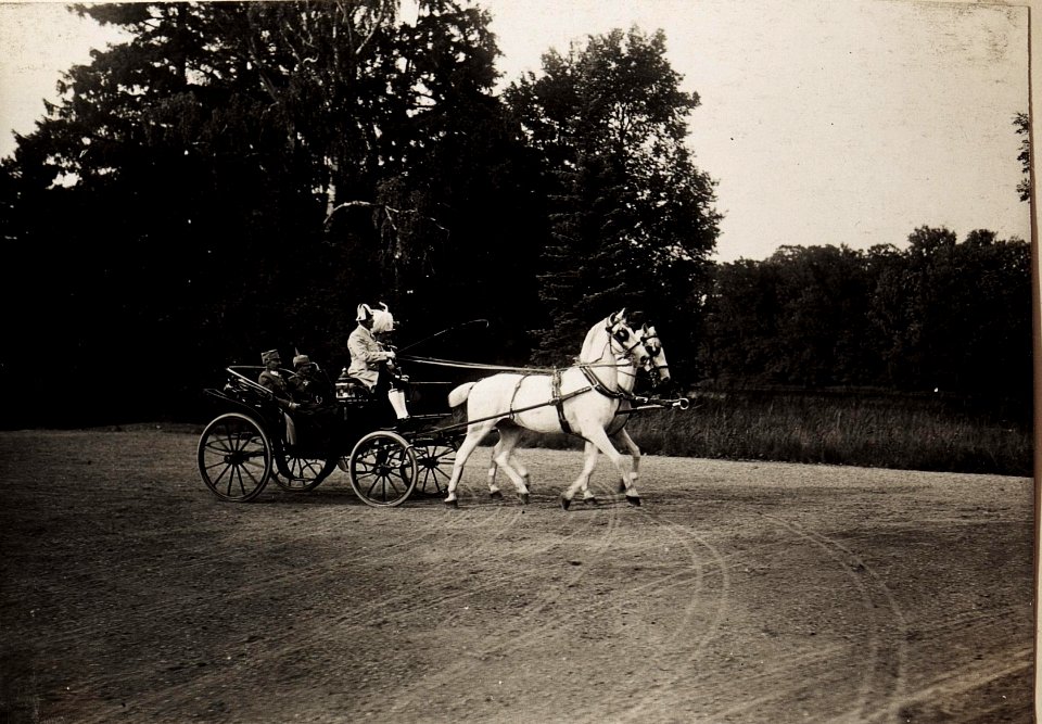 Besuch des deutschen Kaiserpaares in Laxenburg am 6. Juli 1917 (BildID 15566207)