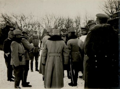 Besuch des Armeekommandanten General von Linsingen bei der 10. Division am 17.2. 1916 (BildID 15541757)