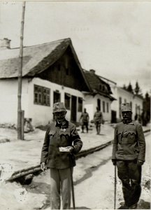 Besuch des Generals Freiherr von Succovaty in Pomorzany im Juni 1917 (BildID 15544132)