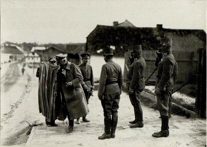 Besuch Generals Johannes von Eben in Pomorzany am 8. Juni 1917. Generalsstabschef Oberst von Ruzicic, Generalmajor Bölz und General Ernst Kletter Edler von Gromnik verabschieden General Johannes von (BildID 15544167)