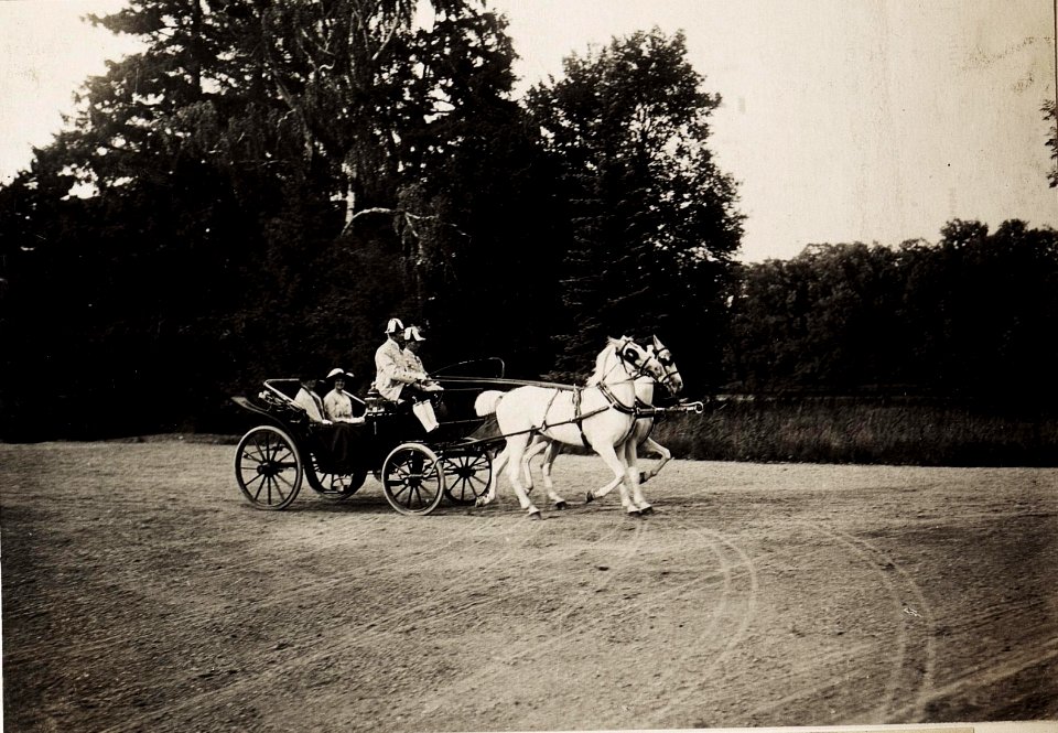 Besuch des deutschen Kaiserpaares in Laxenburg am 6. Juli 1917 (BildID 15566214)