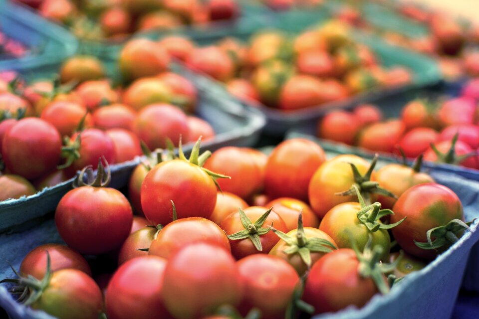 Produce grocery farm