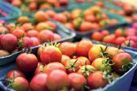 Produce grocery farm