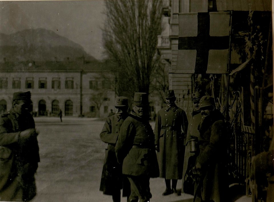 Besuch Sr.Exellz.Feldm.Hötzendorf beim 10.Armee Komdo.am 23-II.1918. (BildID 15512889)