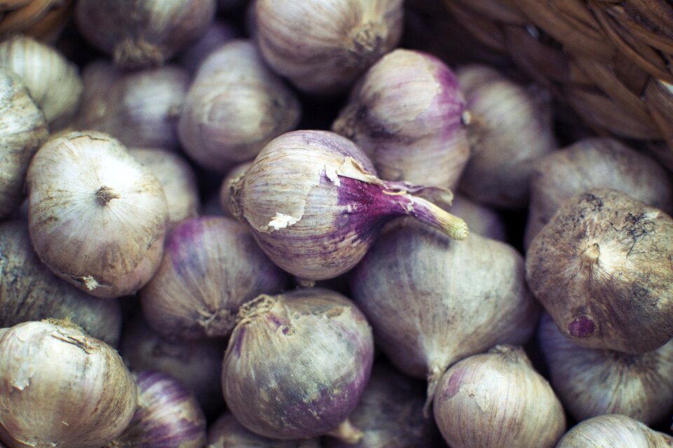 Media foodie onion